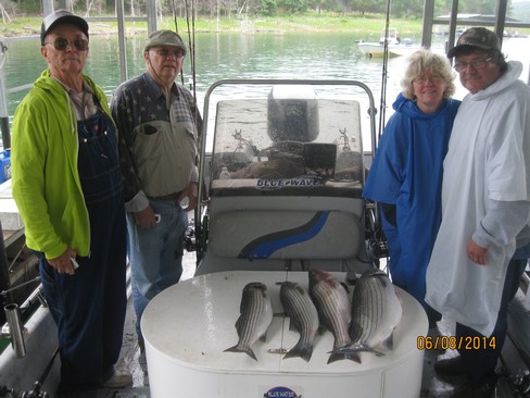 Nice Striped Bass